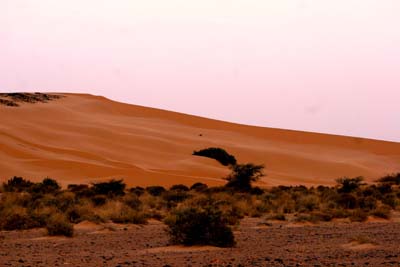 Imagen_de_una_de_las_zonas_liberadas_del_Desierto_del_Sahara