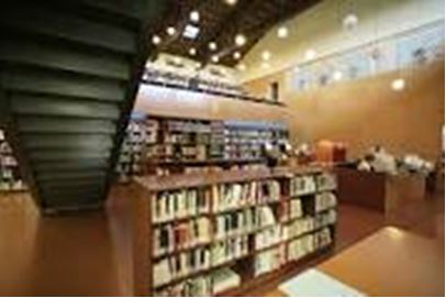 MRosa Nogue-biblioteca 1