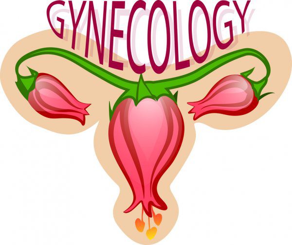 depositphotos 81053926-stock-illustration-gynecology-logo
