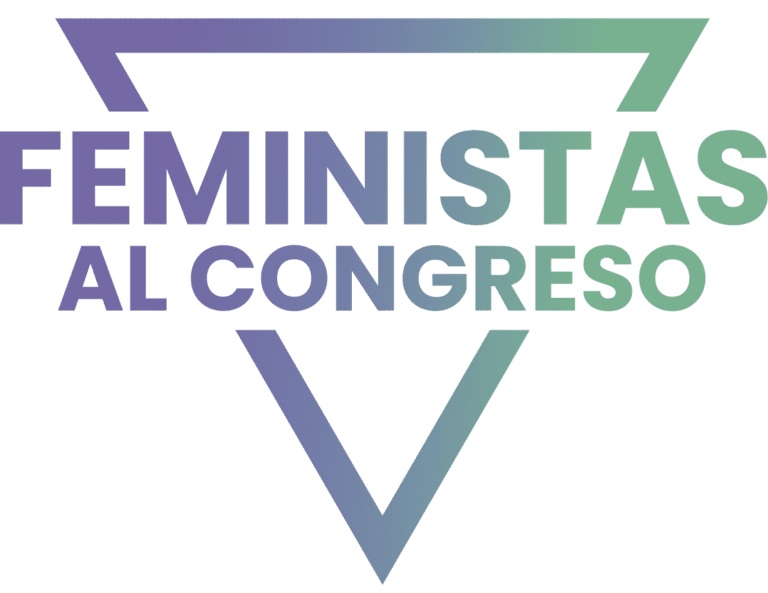 Feministas al Congreso